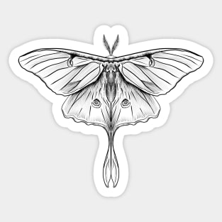 Moon Moth Sticker